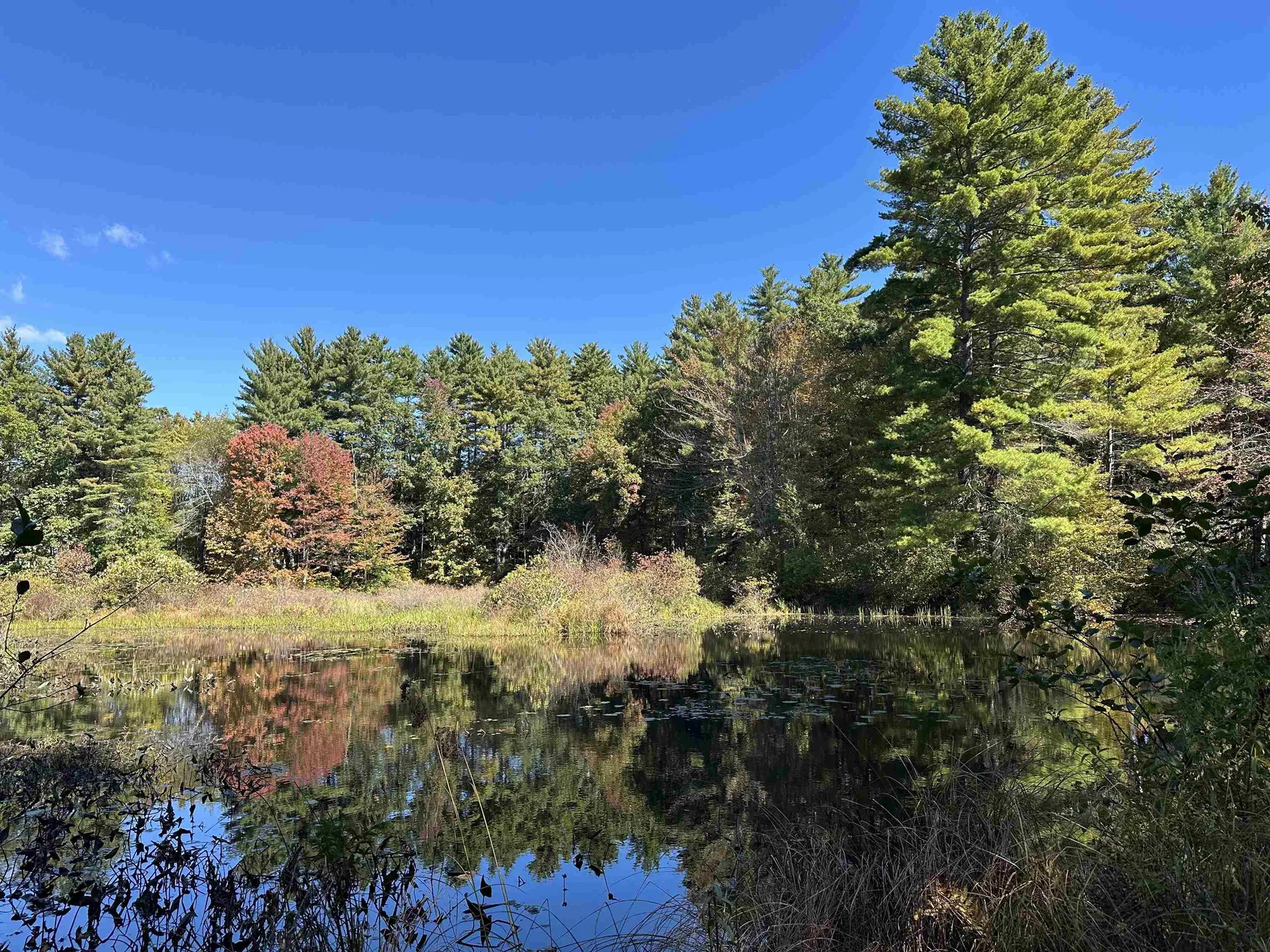 22 Ponemah Road Amherst NH 03031