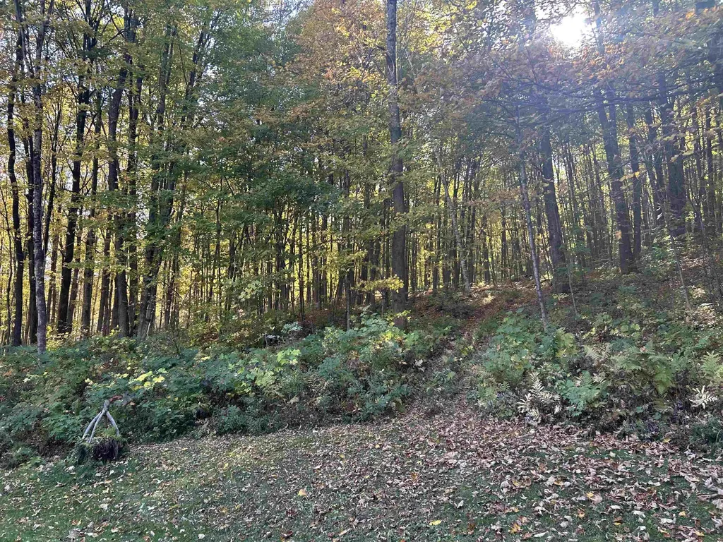 1631 North Road Hinesburg VT 05461