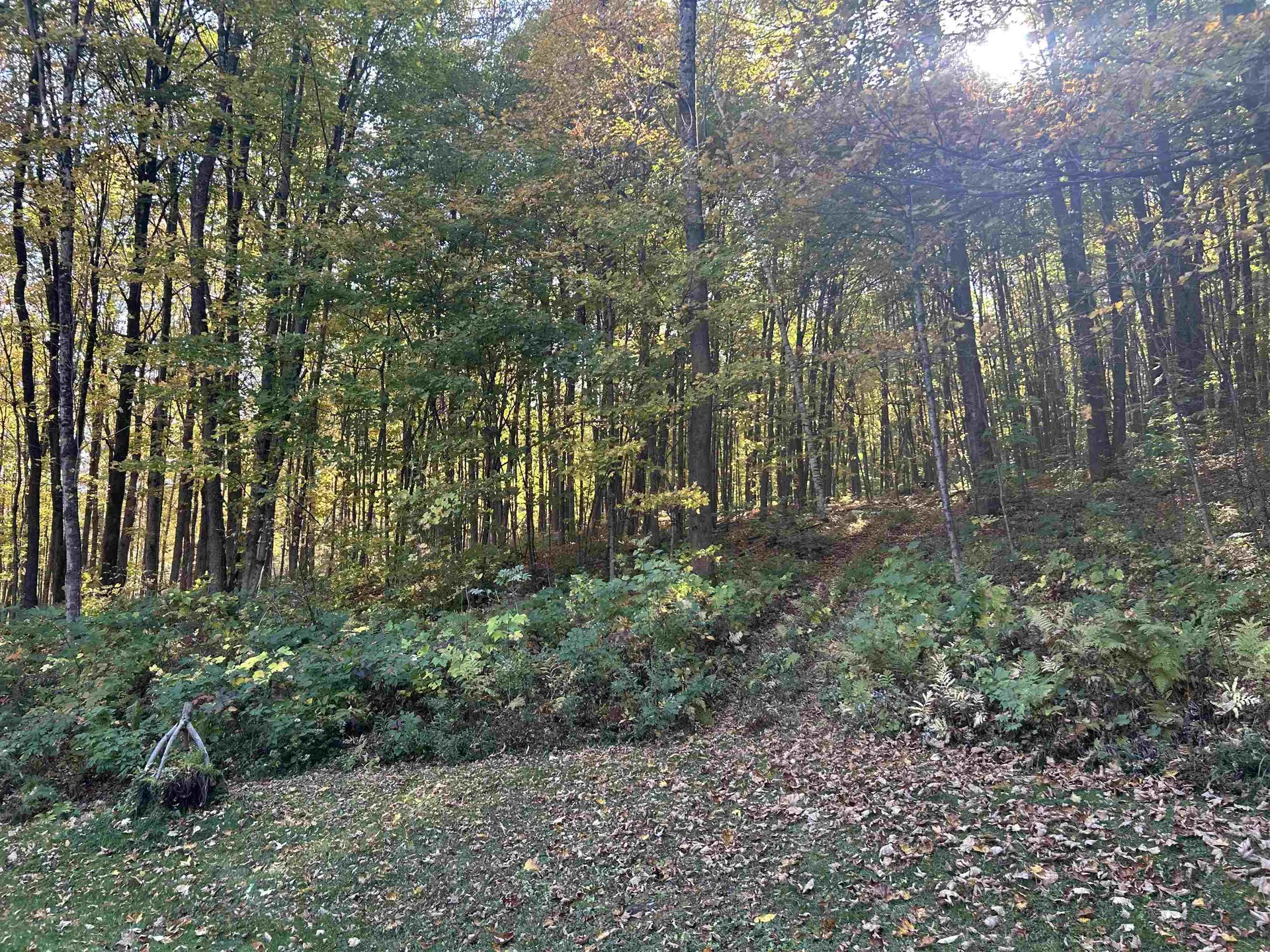 1631 North Road Hinesburg VT 05461