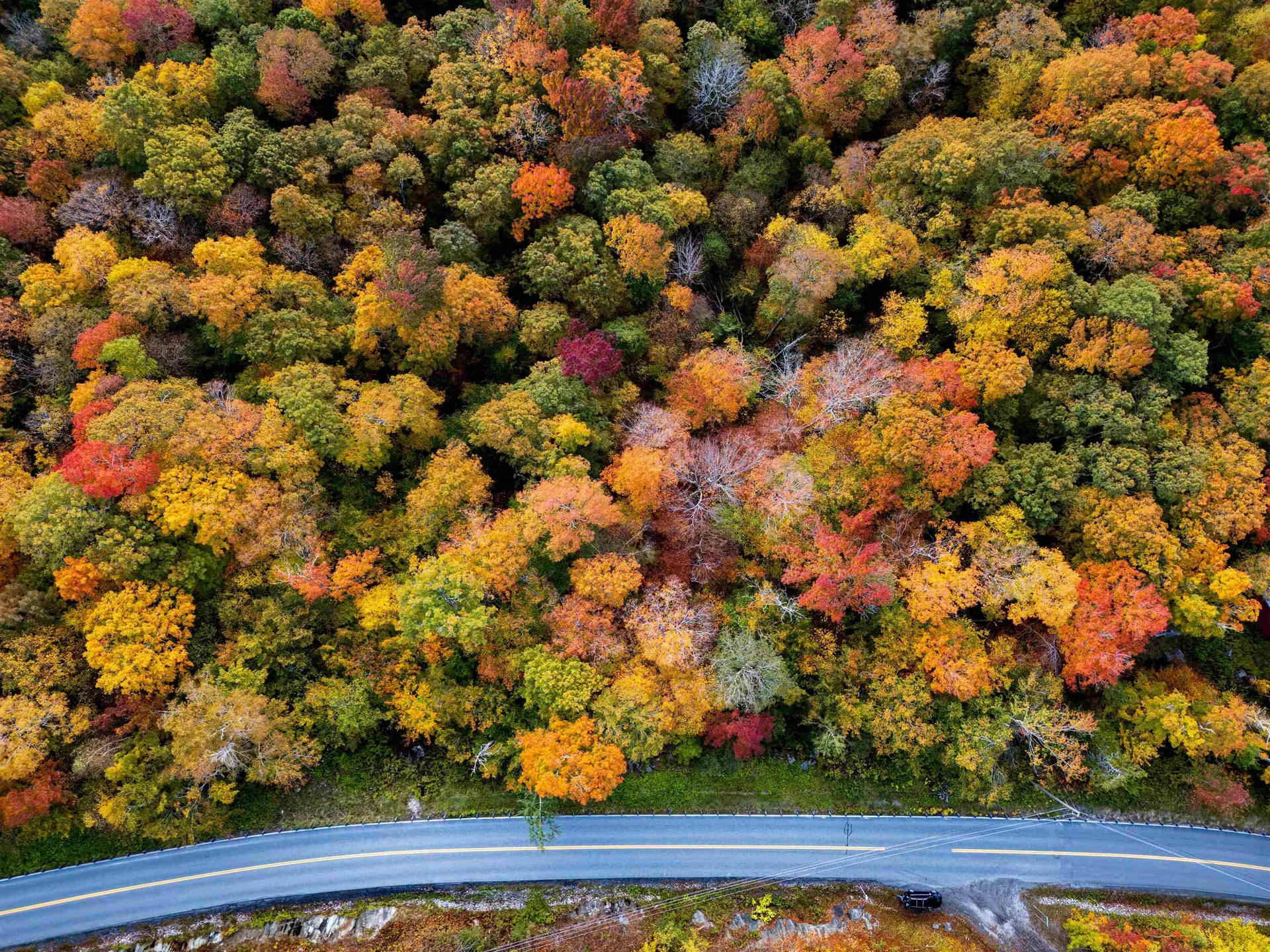 0 East Mountain Road Killington VT 05751