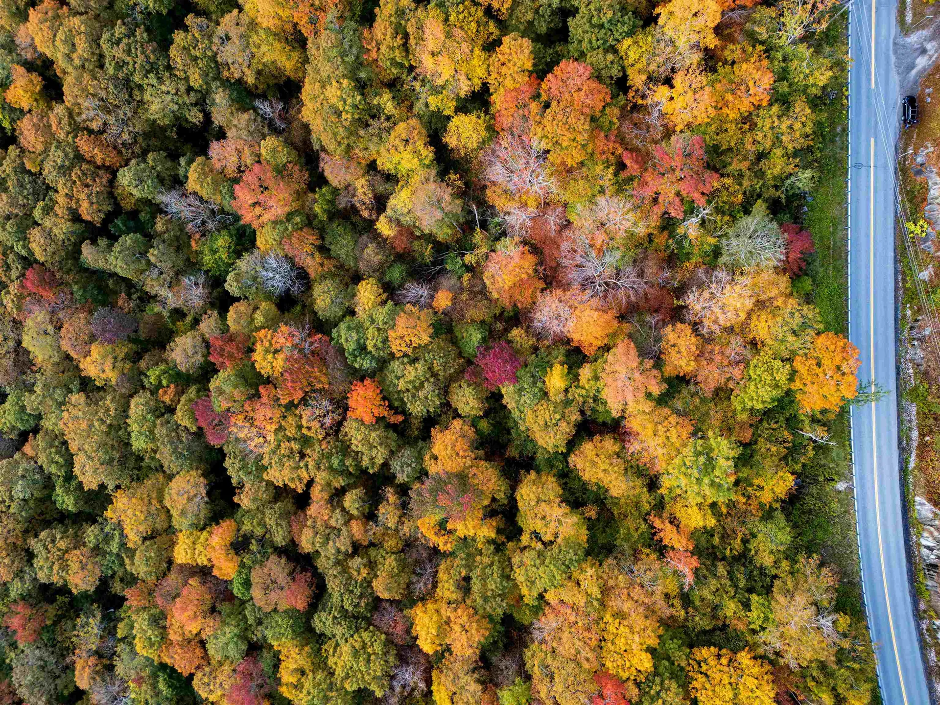 0 East Mountain Road Killington VT 05751