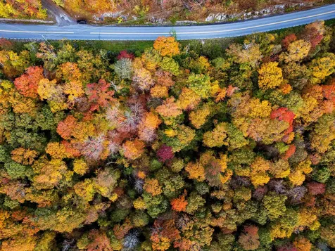 0 East Mountain Road Killington VT 05751