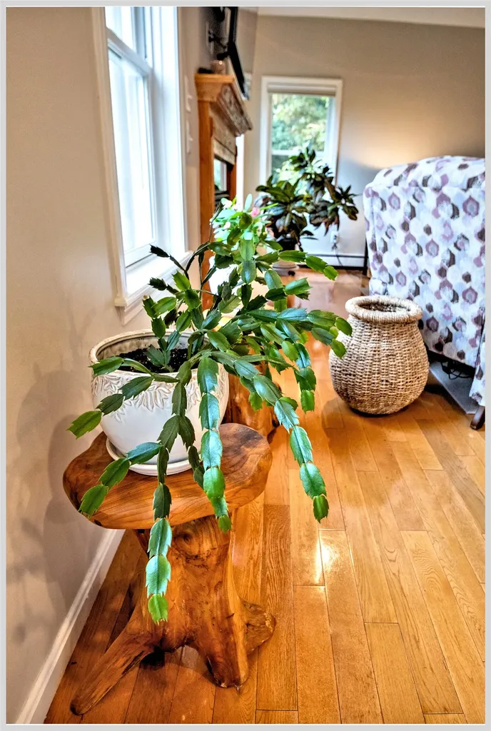 172 Merrill Road Campton NH 03223