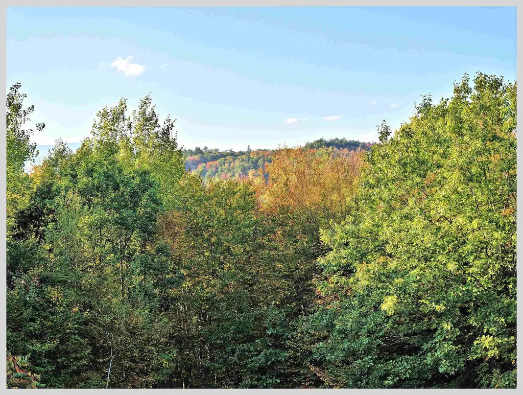 172 Merrill Road Campton NH 03223