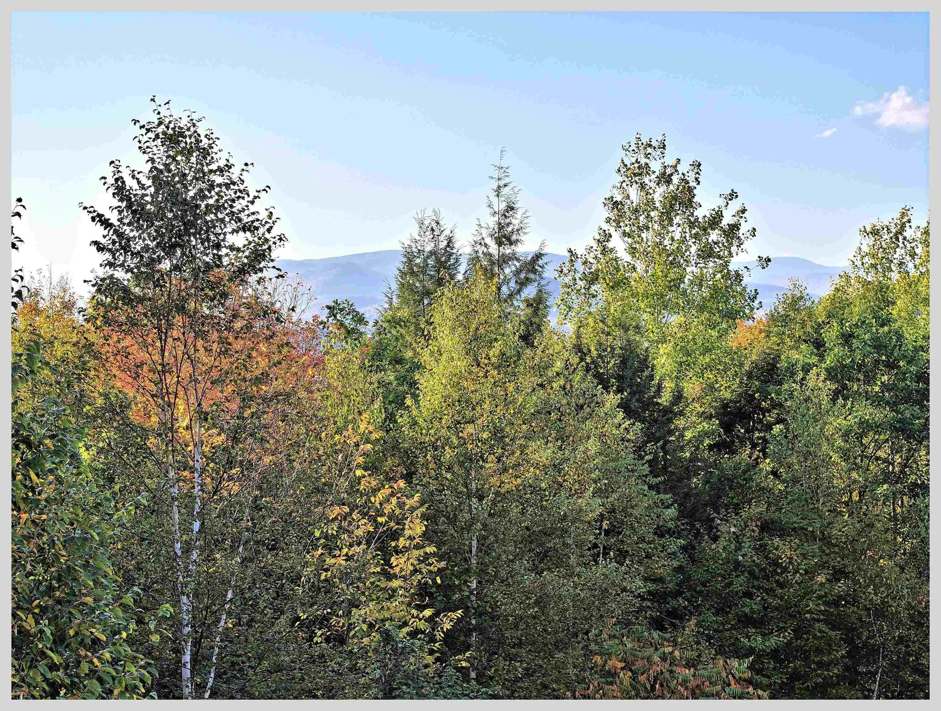 172 Merrill Road Campton NH 03223