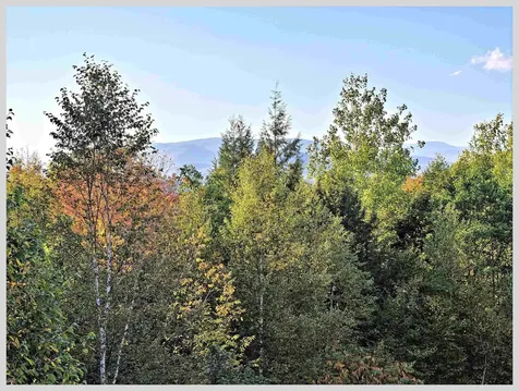 172 Merrill Road Campton NH 03223