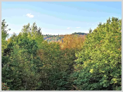 172 Merrill Road Campton NH 03223