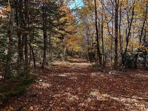 572 Blakely Road Wheelock VT 05851