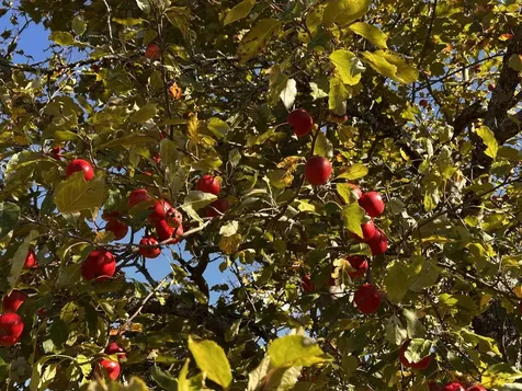 572 Blakely Road Wheelock VT 05851