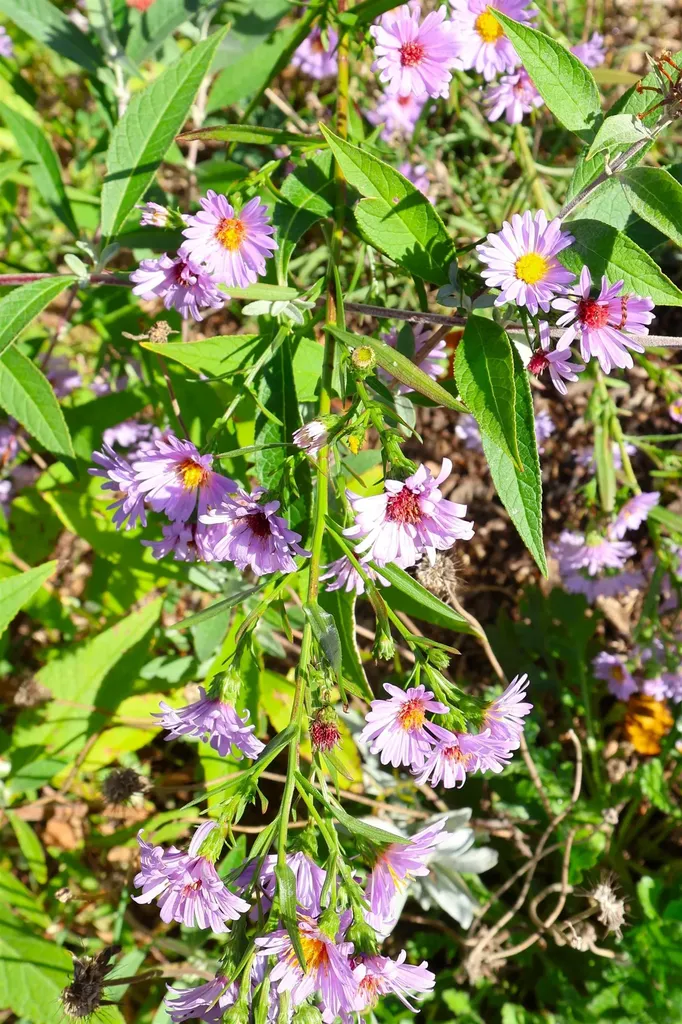 169 Woodhaven Drive Hartford VT 05001