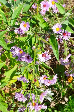 169 Woodhaven Drive Hartford VT 05001