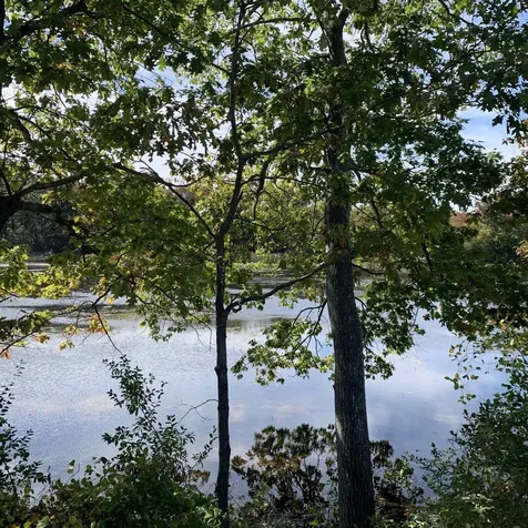 52 Riverview Drive Rochester NH 03867