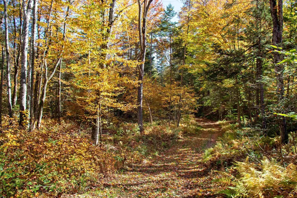 1242 Oneida Road Danville VT 05828