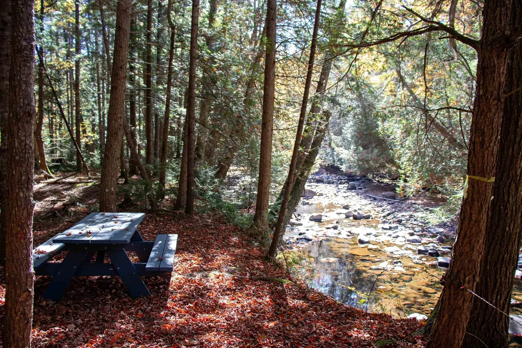 1242 Oneida Road Danville VT 05828