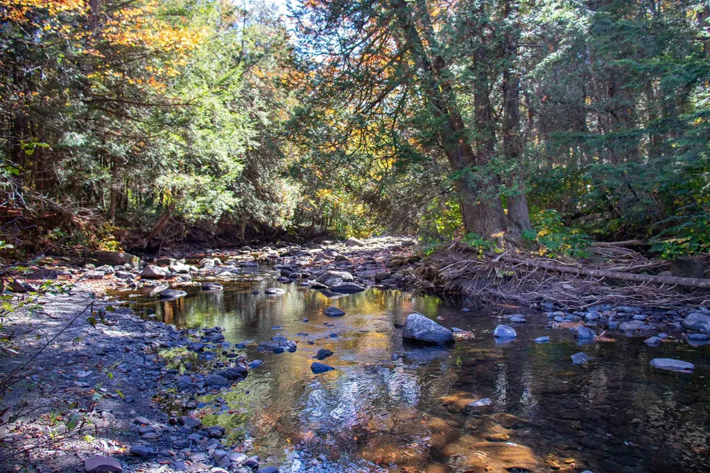 1242 Oneida Road Danville VT 05828