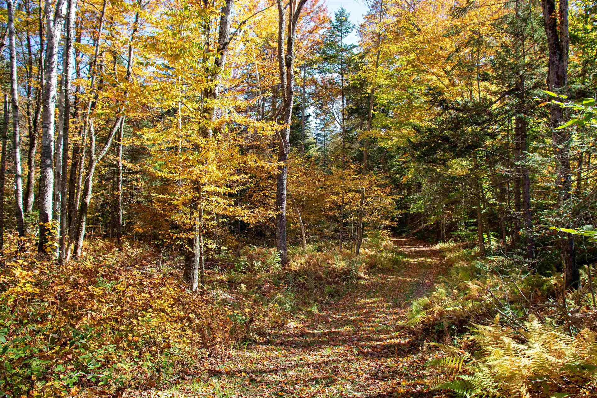 1242 Oneida Road Danville VT 05828