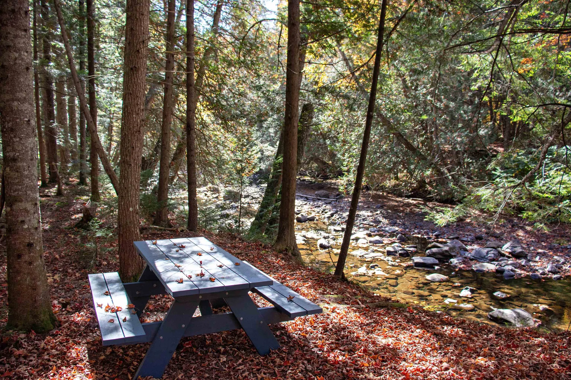 1242 Oneida Road Danville VT 05828