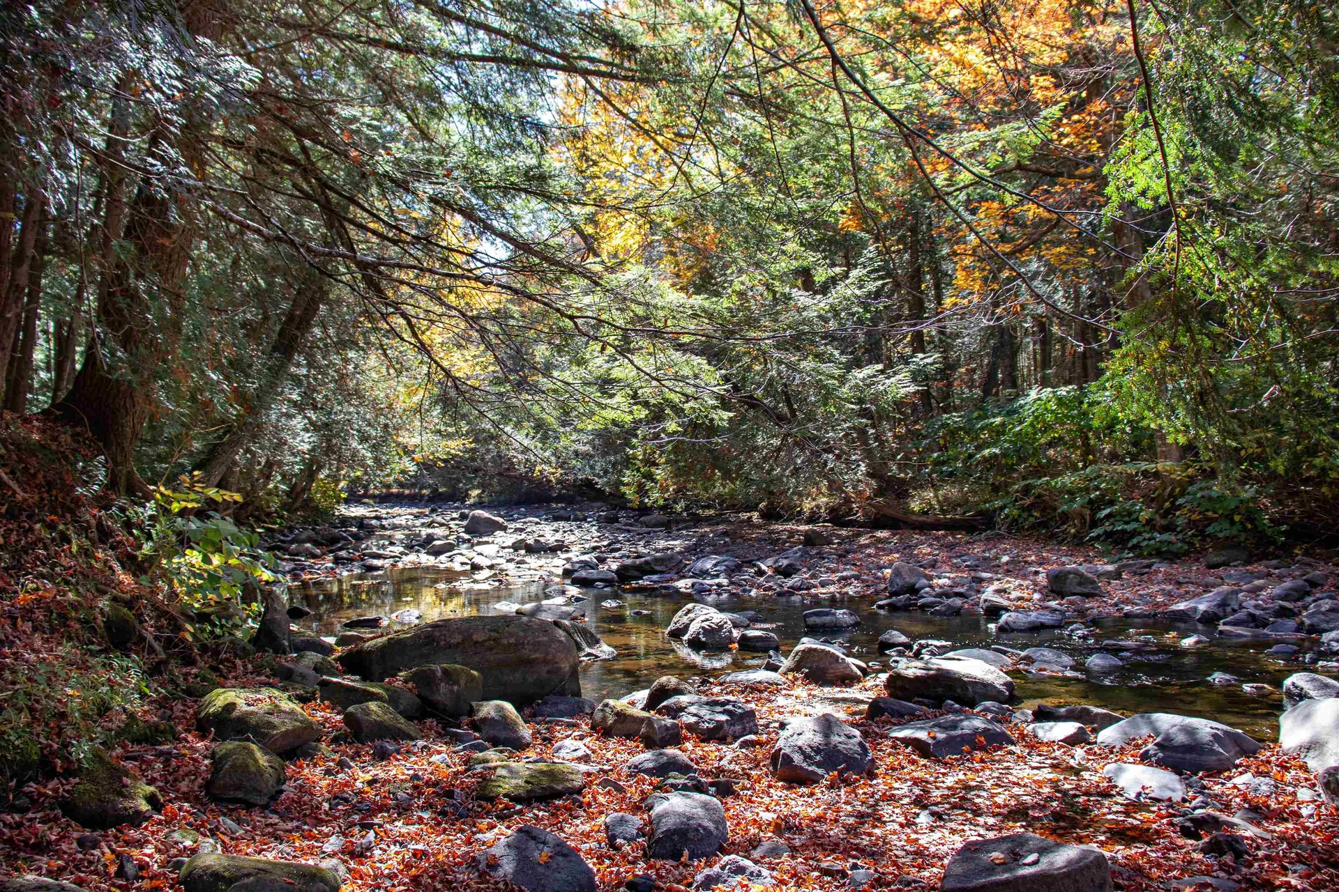 1242 Oneida Road Danville VT 05828