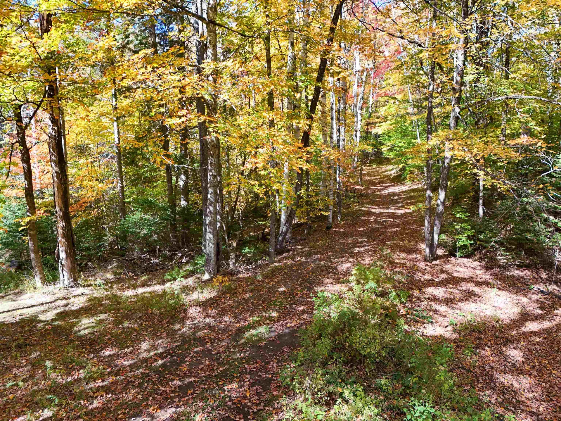 1242 Oneida Road Danville VT 05828