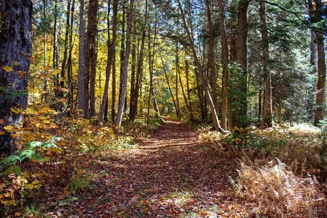 1242 Oneida Road Danville VT 05828