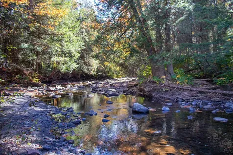 1242 Oneida Road Danville VT 05828