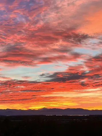 4494 St. George Road Williston VT 05495