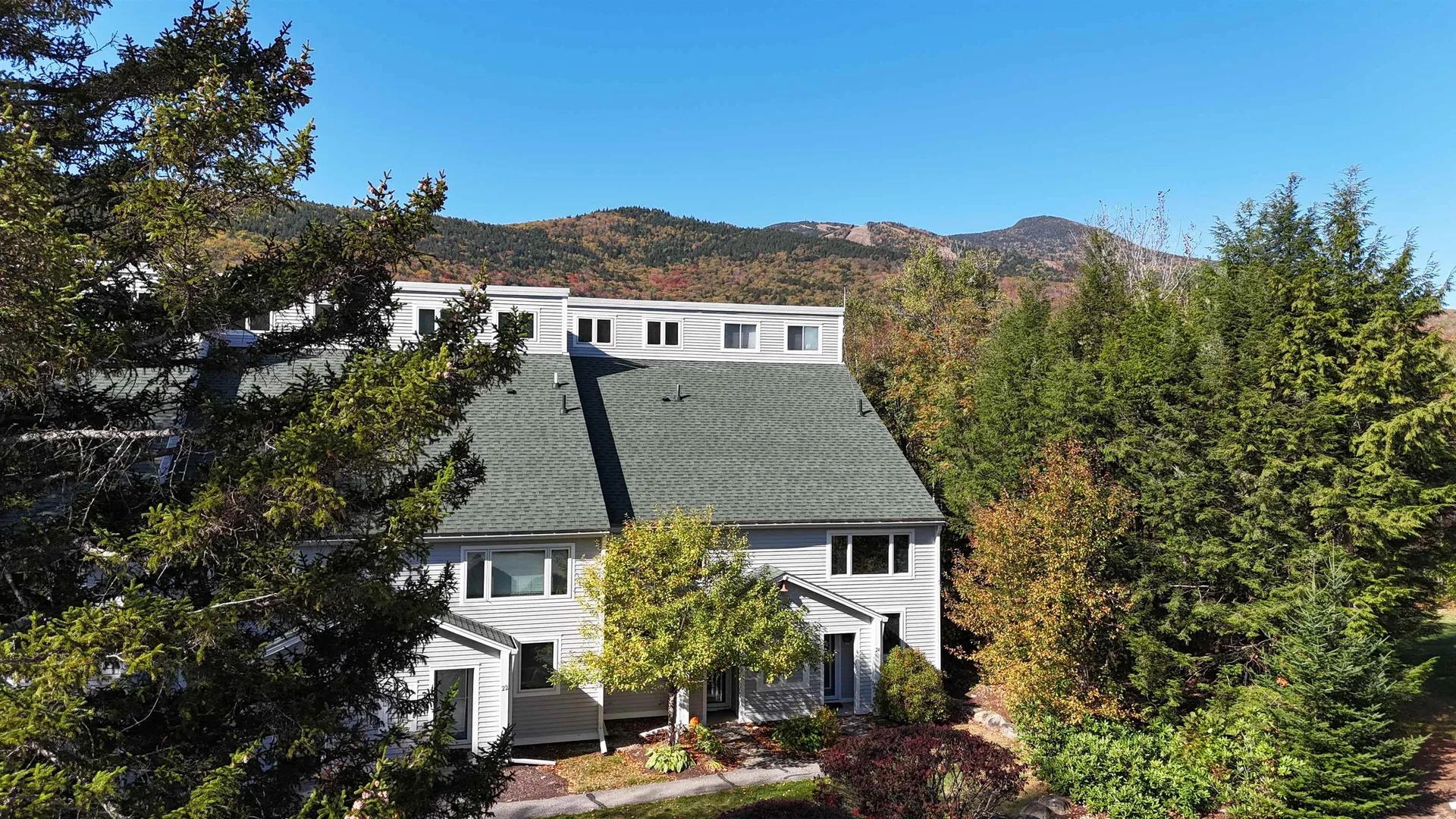 11 Moose Way Waterville Valley NH 03215