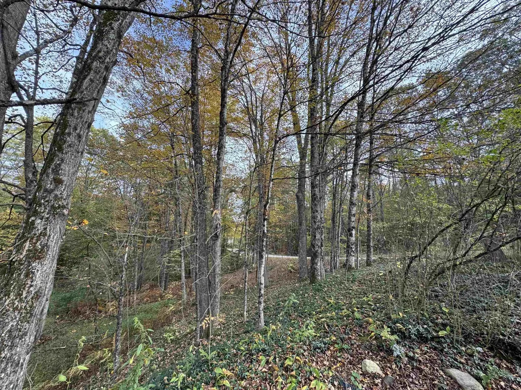 1833 Mattson Road Chester VT 05143