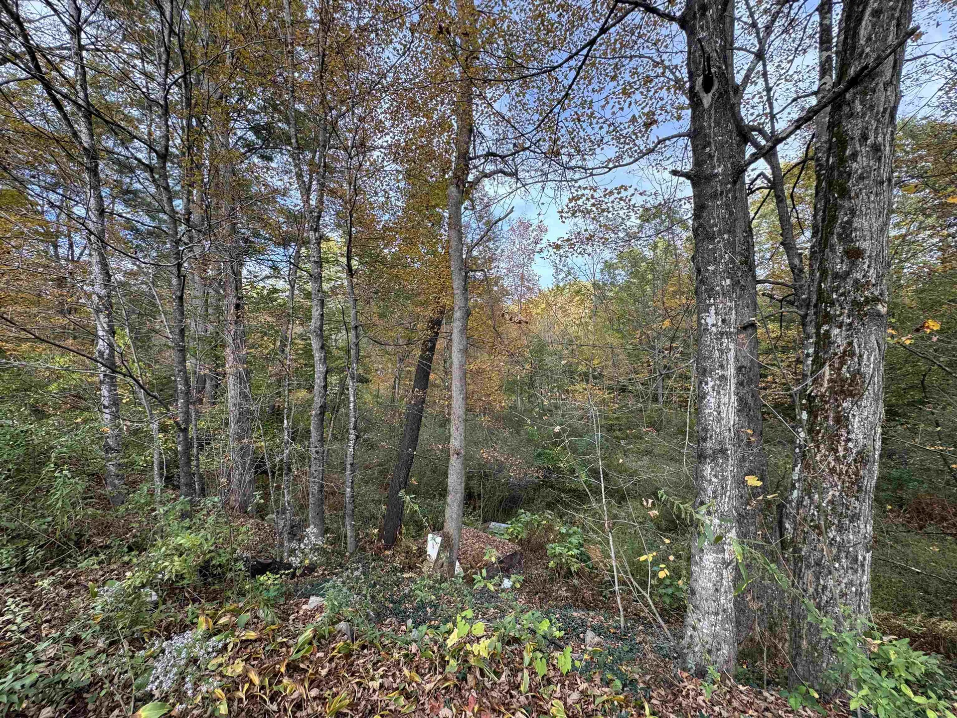 1833 Mattson Road Chester VT 05143