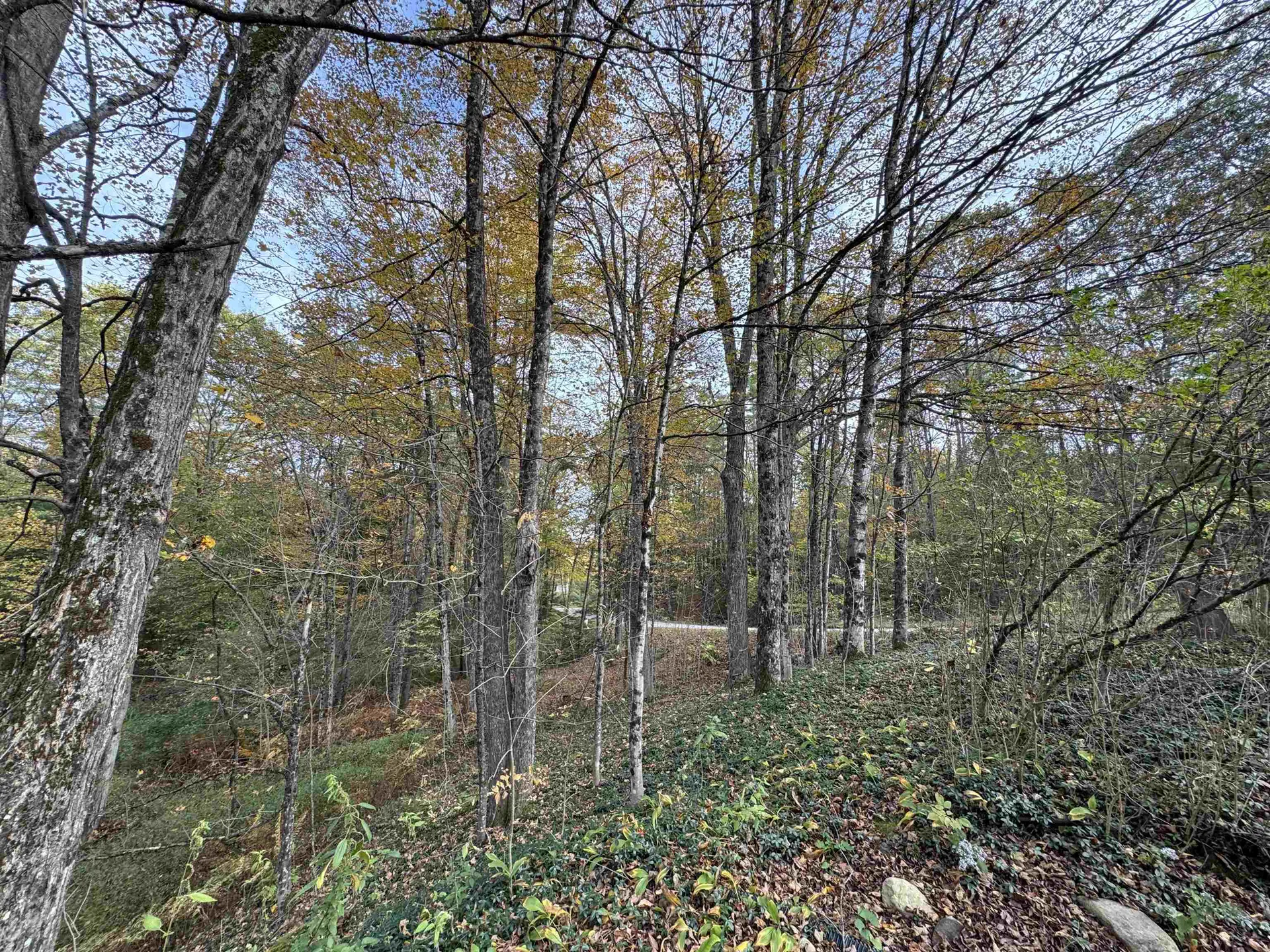 1833 Mattson Road Chester VT 05143