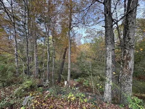 1833 Mattson Road Chester VT 05143