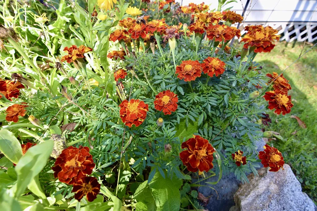 4 Anderson Street Claremont NH 03743