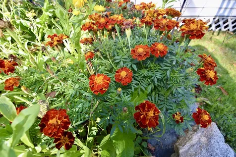 4 Anderson Street Claremont NH 03743