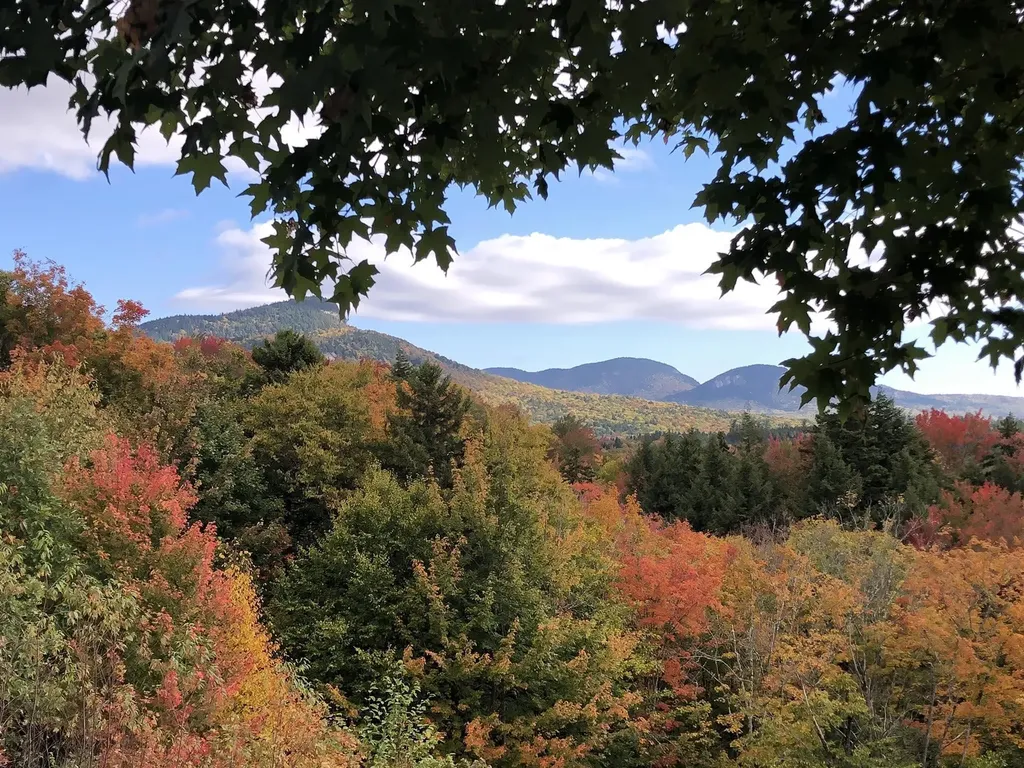 46 Packards Way Waterville Valley NH 03215