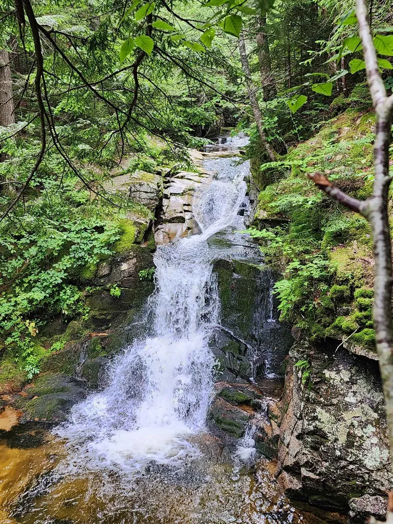 46 Packards Way Waterville Valley NH 03215