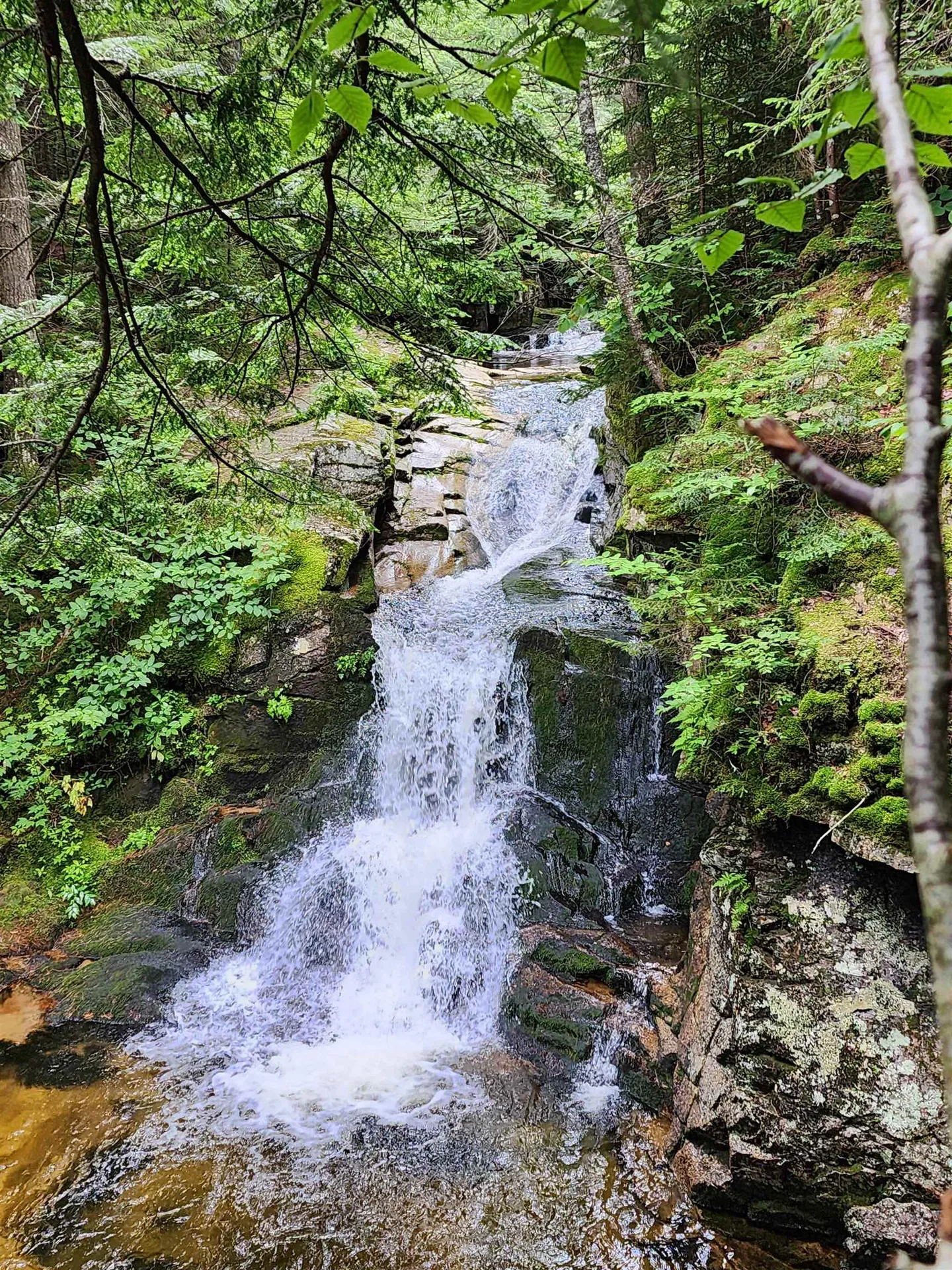 46 Packards Way Waterville Valley NH 03215