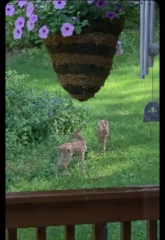 945 Cox Brook Road Northfield VT 05663