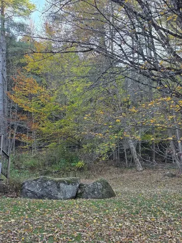 945 Cox Brook Road Northfield VT 05663