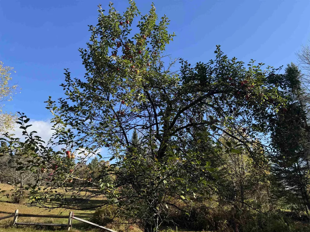 374 Crank Road Bloomfield VT 05905