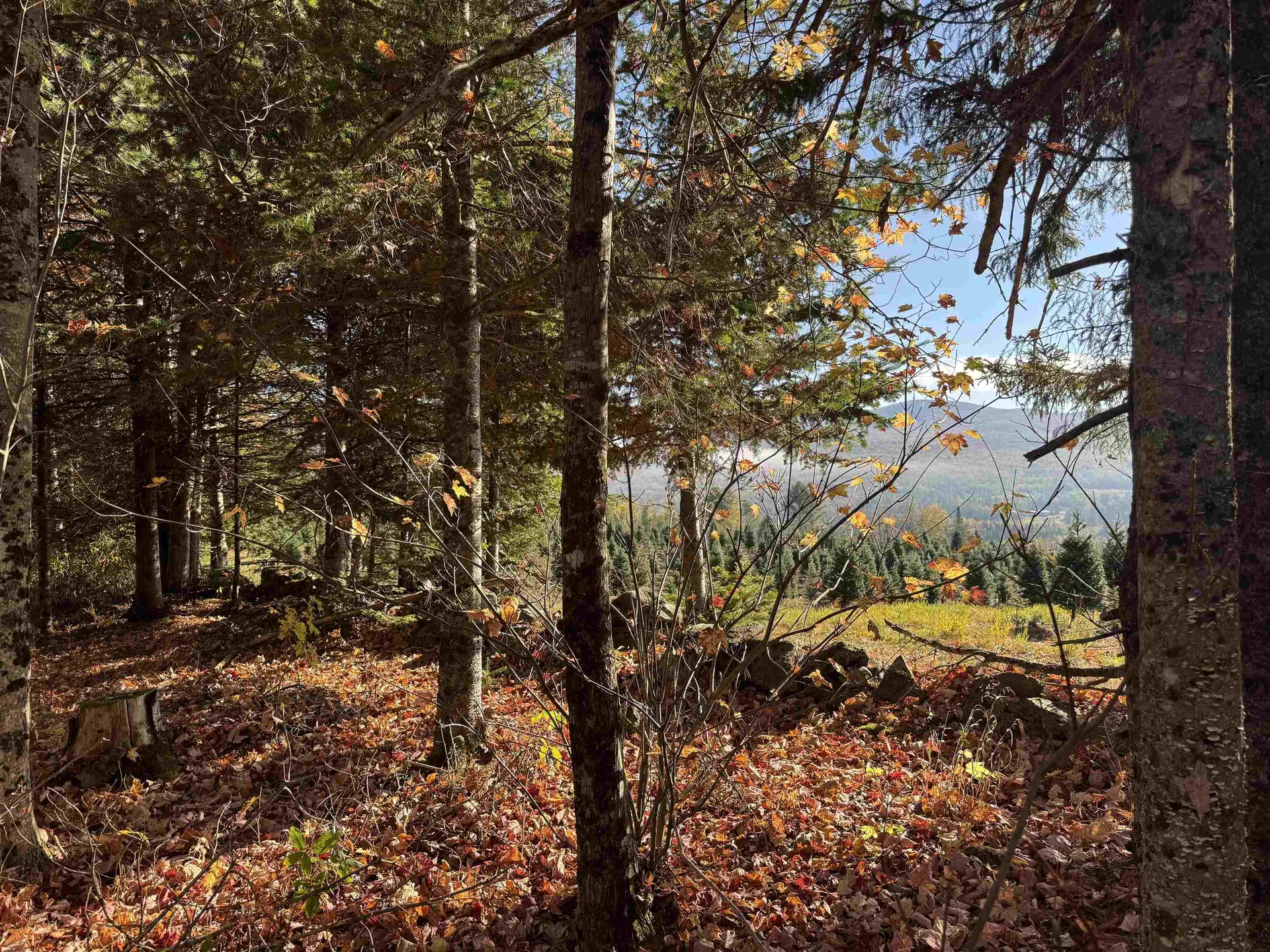 374 Crank Road Bloomfield VT 05905