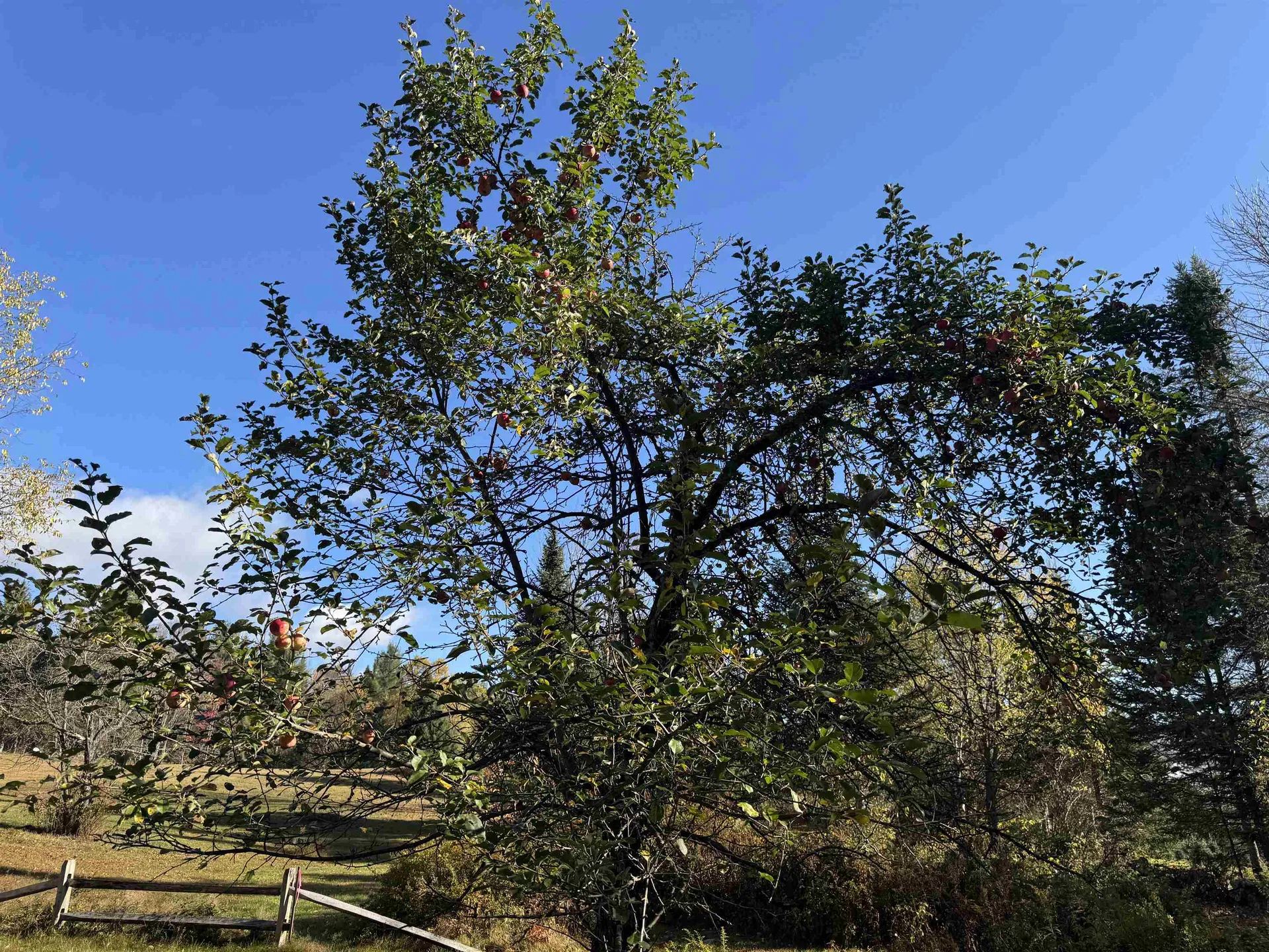 374 Crank Road Bloomfield VT 05905