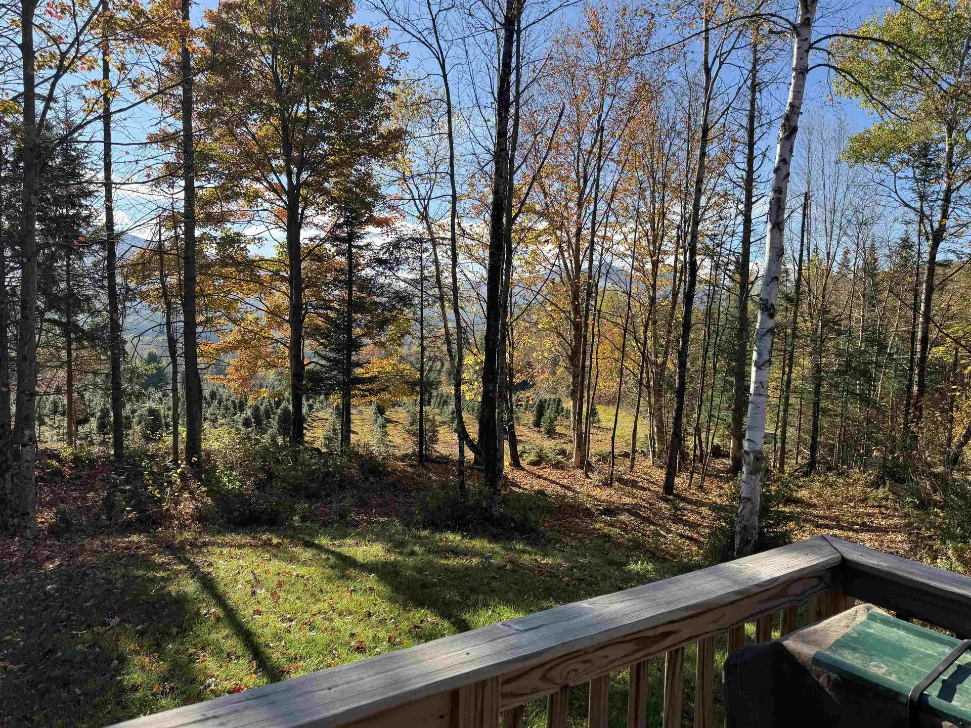 374 Crank Road Bloomfield VT 05905