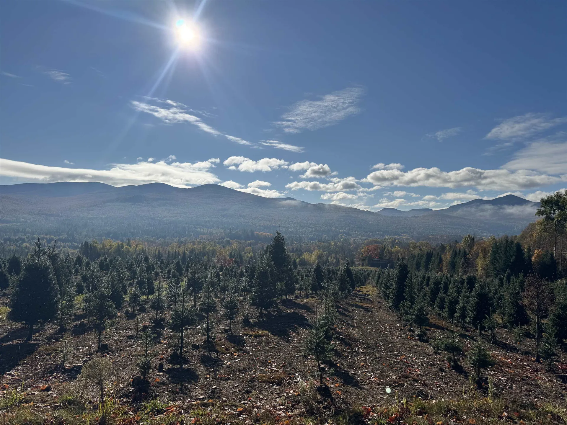 374 Crank Road Bloomfield VT 05905