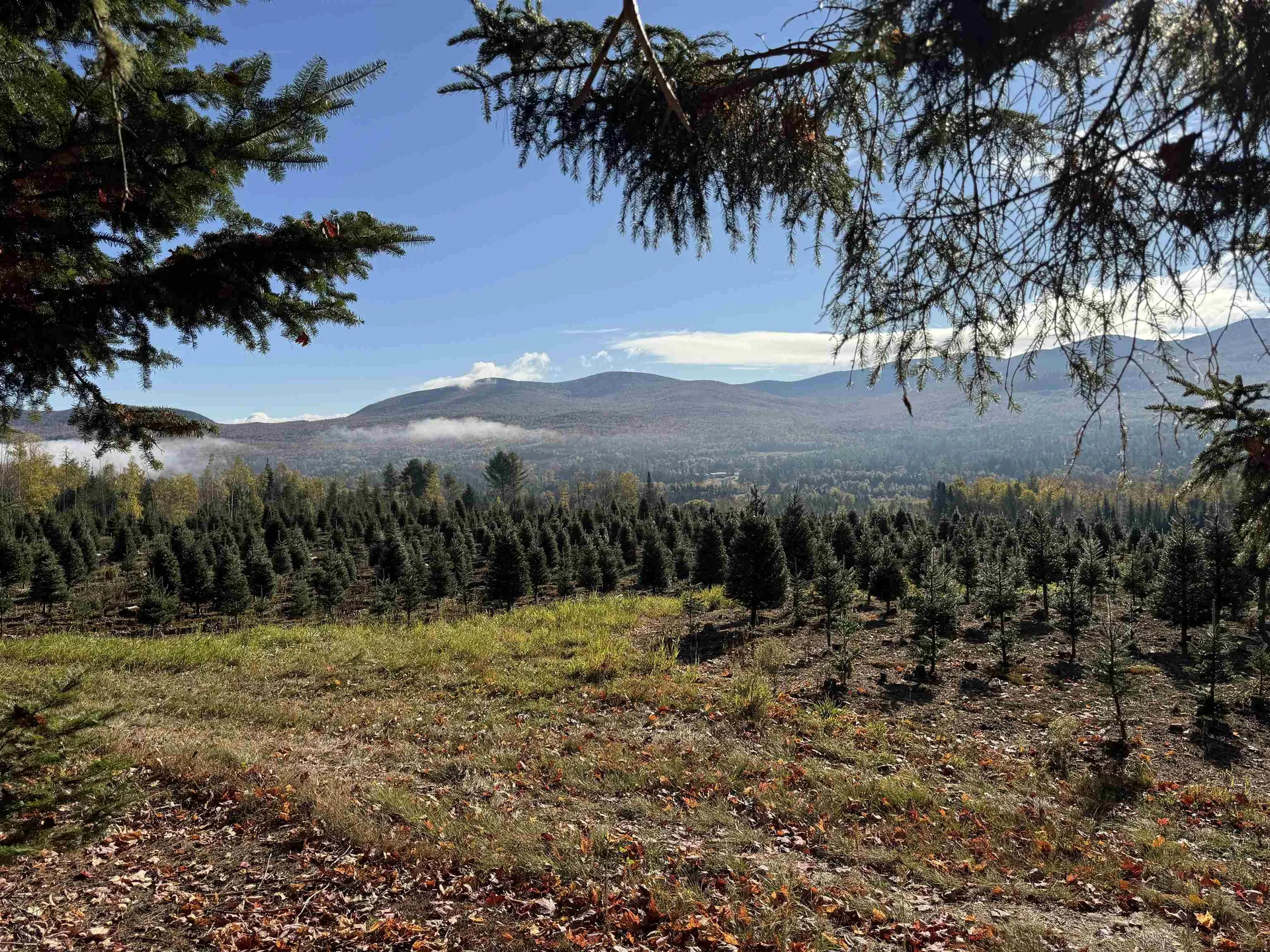 374 Crank Road Bloomfield VT 05905