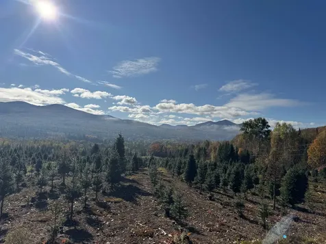 374 Crank Road Bloomfield VT 05905