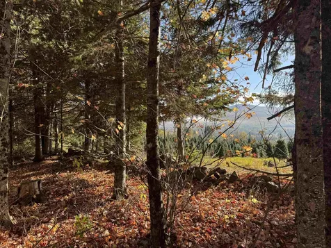 374 Crank Road Bloomfield VT 05905