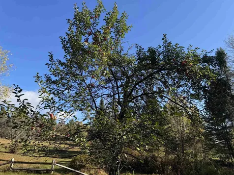 374 Crank Road Bloomfield VT 05905