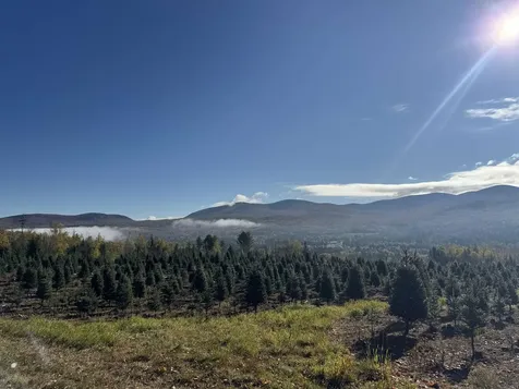 374 Crank Road Bloomfield VT 05905