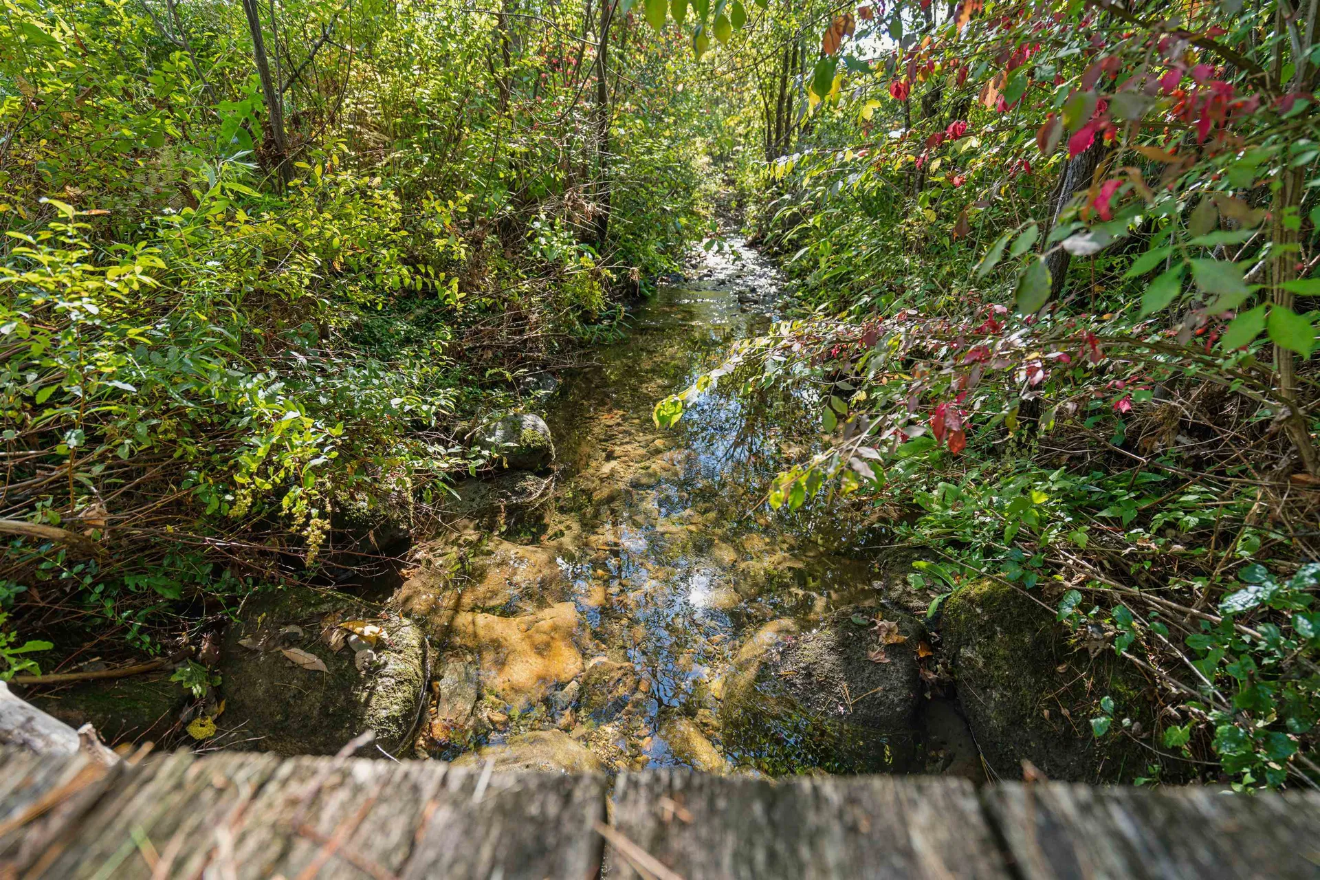 1815 Blood Brook Road Fairlee VT 05045