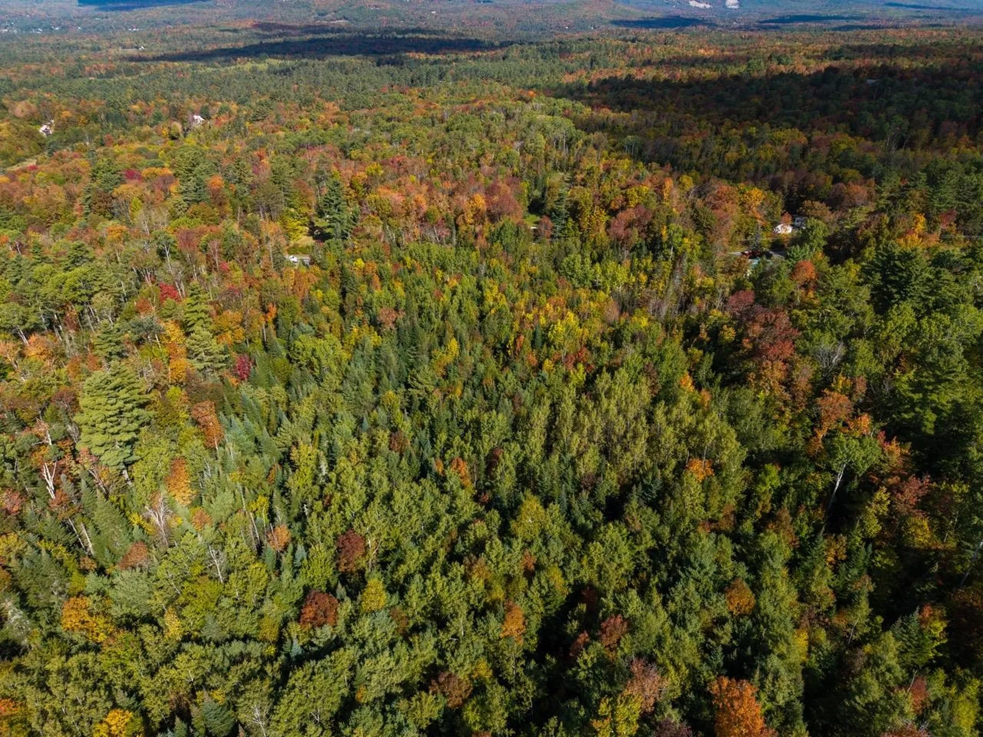 O Main Street Bethlehem NH 03574